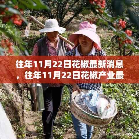往年11月22日花椒产业最新消息概览,行业动态与市场发展动态分析