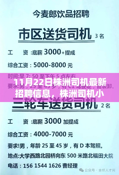 株洲司机最新招聘信息与小刘的求职奇遇日,友情、梦想与家的温暖之路