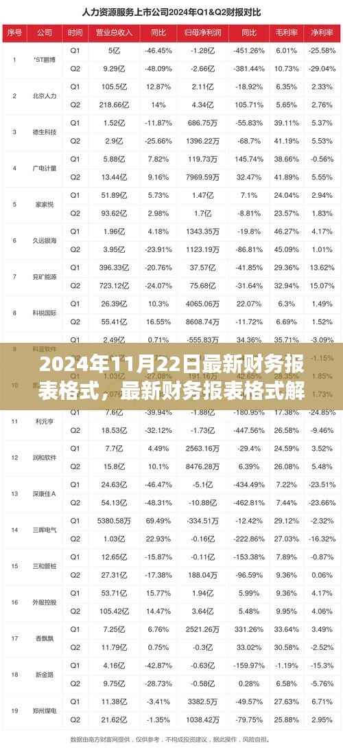 聚焦财务变革,解析最新财务报表格式与解析(2024年11月22日版)