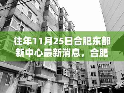 合肥东部新中心隐秘小巷的特色风情,一家小店的奇遇记揭秘最新消息