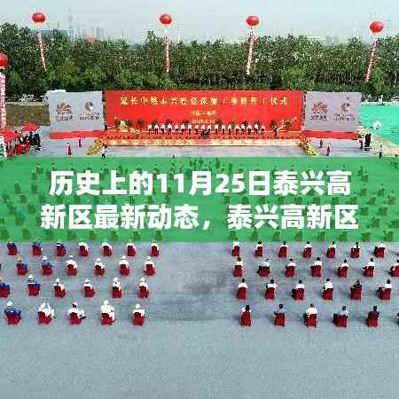 泰兴高新区回望历史与最新动态,历史上的11月25日深度解析与最新进展