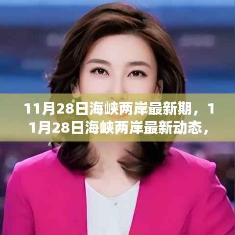 海峡两岸最新动态深度解读与进展交流——聚焦11月28日最新发展