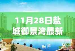 盐城御景湾最新动态解析,聚焦11月28日最新消息揭秘