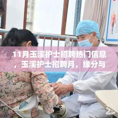 玉溪护士招聘月,缘分与梦想的温馨相遇