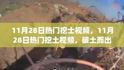 11月28日热门挖土视频,破土而出的力量与自信成就感的源泉