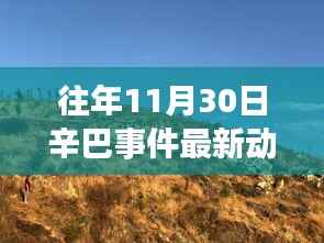 辛巴事件最新动态与小巷深处的特色小店新探秘揭秘