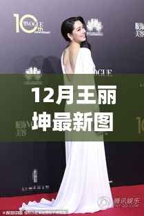 王丽坤十二月最新图片展示,时尚魅力的瞬间