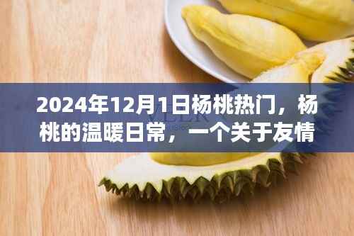 杨桃的温暖日常,友情、爱与陪伴的温馨故事,杨桃热潮来袭!