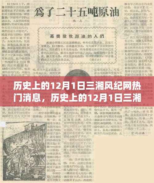 历史上的12月1日,三湘风纪网热门消息的深度解读与观点分享
