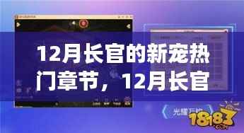 12月长官的新宠,全面评测与介绍热门章节