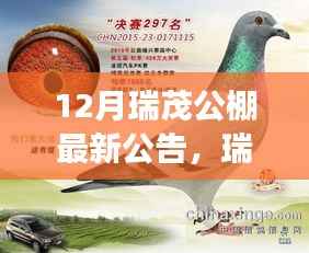 揭秘瑞茂公棚12月最新公告,背景、事件与深远影响全解析