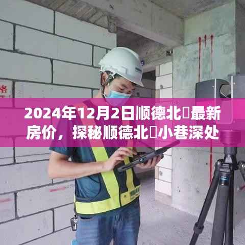 探秘顺德北滘小巷风情,最新房价与特色小店的奇遇之旅(2024年12月)