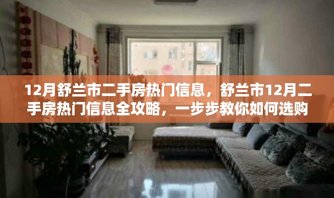 舒兰市12月二手房选购指南,热门房源全攻略与实用购房步骤解析
