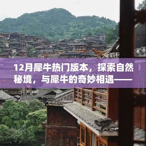十二月犀牛热门版本,探索自然秘境,奇妙相遇之旅