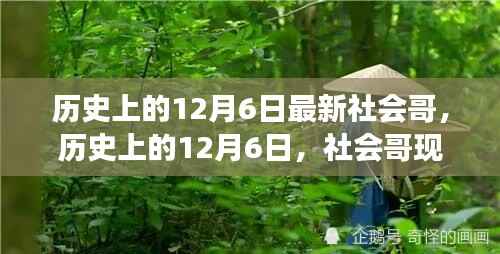 历史上的12月6日,社会哥现象深度解读与个人观点阐述