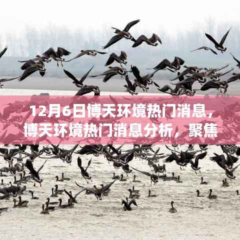 博天环境热门消息解析,聚焦12月6日事件与观点探讨