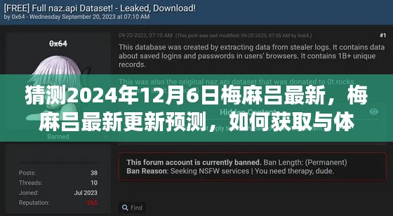 梅麻吕最新更新预测与体验指南,初学者与进阶用户必备指南(预测至2024年12月6日)