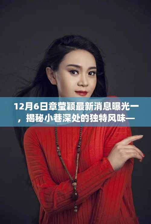 章莹颖揭秘隐藏宝藏小店,探寻小巷深处的独特风味新鲜故事