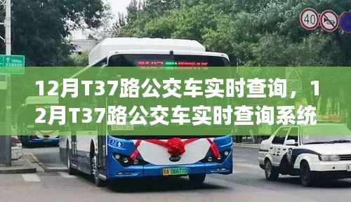深度评测与介绍,12月T37路公交车实时查询系统