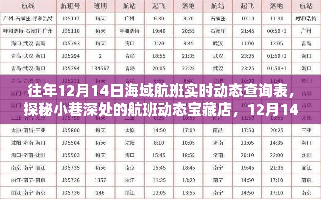 探秘宝藏店,揭秘往年12月14日海域航班实时动态概览