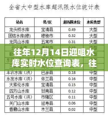 往年12月14日迎咀水库实时水位查询表及其制作指南概览