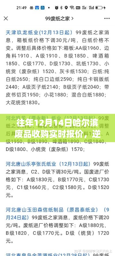 励志之旅启程,了解往年哈尔滨废品收购实时报价,逆风翻盘!