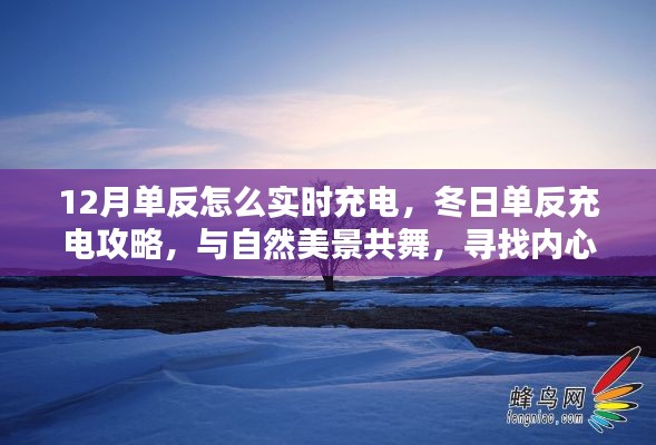 冬日单反充电指南,实时充电与自然美景的双重体验,探寻内心宁静与力量