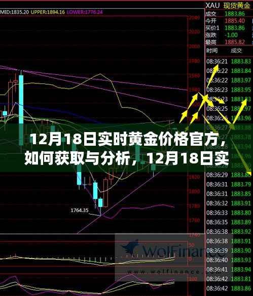 12月18日实时黄金价格官方信息获取与分析,初学者与进阶用户指南