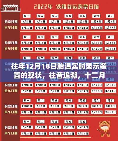 追溯与现状,十二月十八日胎温实时显示装置的发展与影响概述