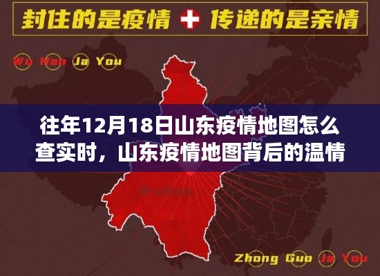 山东疫情地图背后的温情故事,友情与陪伴的追踪之旅,实时查询指南