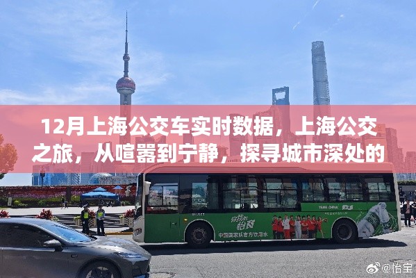 上海公交实时数据之旅,探寻城市深处的自然脉动