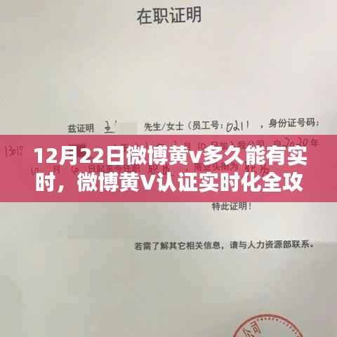 微博黄V认证实时化全攻略,最新流程解析与等待时间预测