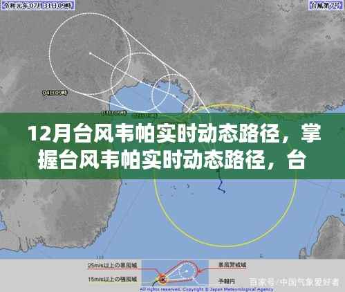 台风韦帕实时动态路径解析,台风季节必备知识