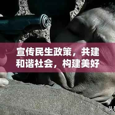 宣传民生政策,共建和谐社会,构建美好未来不可或缺的一环