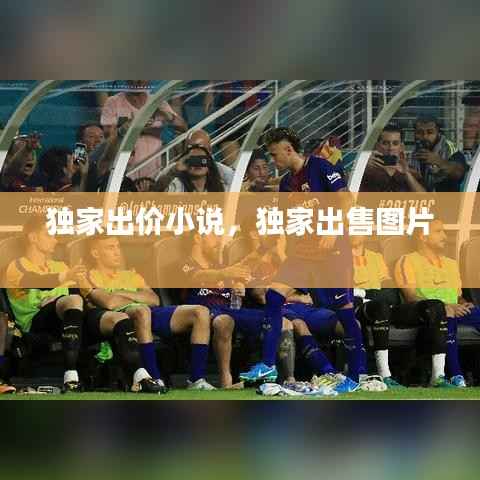 独家出价小说,独家出售图片