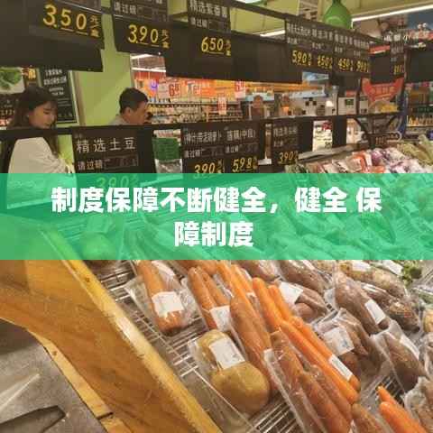 制度保障不断健全,健全 保障制度