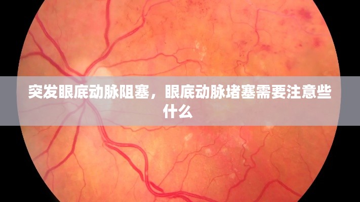 突发眼底动脉阻塞,眼底动脉堵塞需要注意些什么