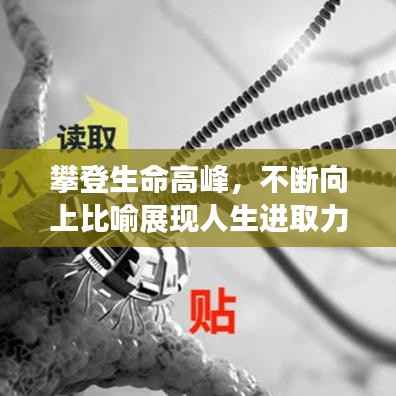 攀登生命高峰,不断向上比喻展现人生进取力