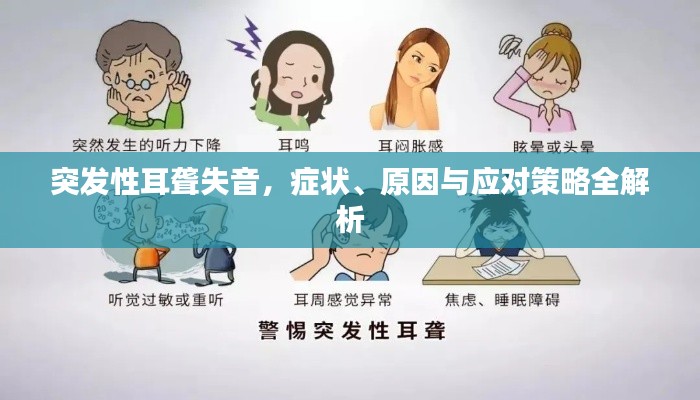 突发性耳聋失音,症状、原因与应对策略全解析