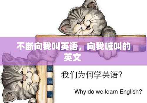不断向我叫英语,向我喊叫的英文