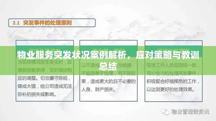 物业服务突发状况案例解析,应对策略与教训总结