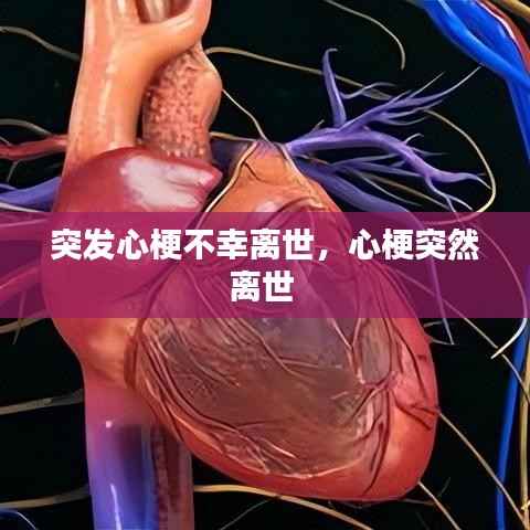 突发心梗不幸离世,心梗突然离世