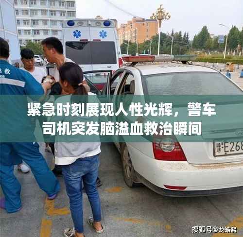 紧急时刻展现人性光辉,警车司机突发脑溢血救治瞬间