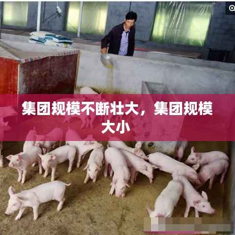 集团规模不断壮大,集团规模大小