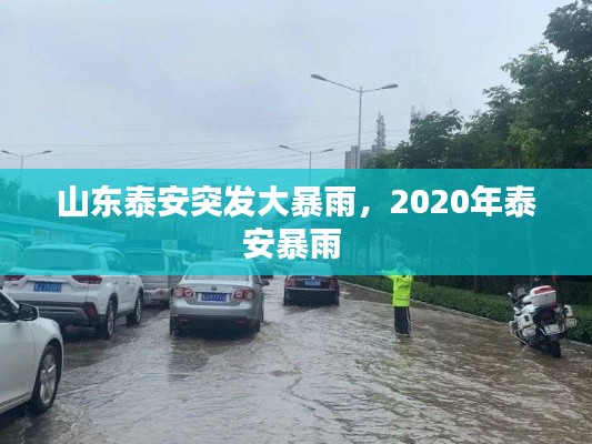 山东泰安突发大暴雨,2020年泰安暴雨