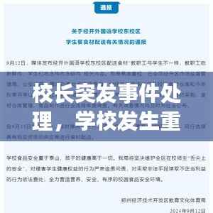 校长突发事件处理，学校发生重大事件校长擅离职守不按规定报告 