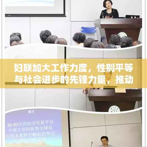 妇联加大工作力度,性别平等与社会进步的先锋力量,推动社会和谐前行