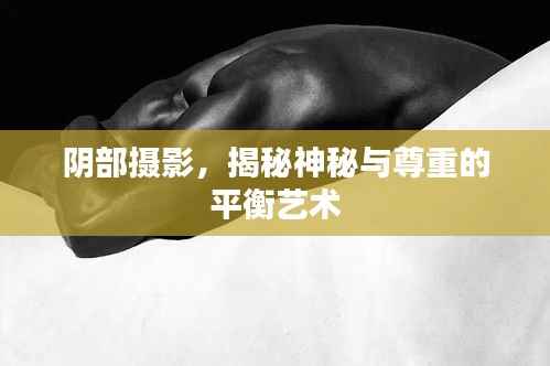 阴部摄影,揭秘神秘与尊重的平衡艺术