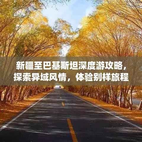 新疆至巴基斯坦深度游攻略,探索异域风情,体验别样旅程!