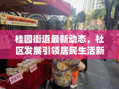 桂园街道最新动态,社区发展引领居民生活新篇章